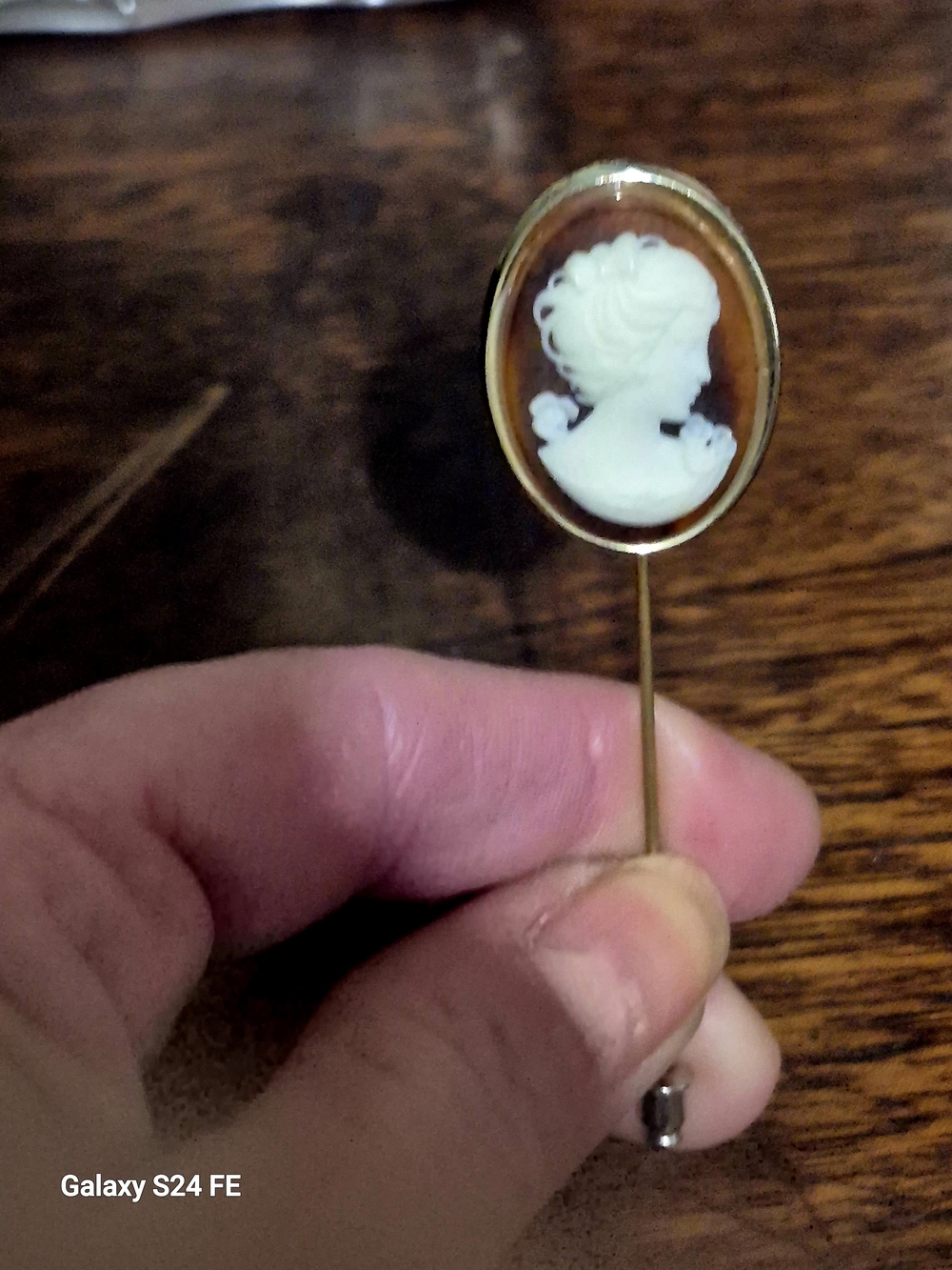 Antique Gold-Tone Brown and White Cameo Stick Pin